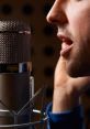 Providing Tailor-made Voiceover From My Studio Directly to Your Enterprise—corporate Narration, Audio Guides, Commercials,