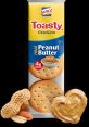 Toasty Timbre Type your text to hear it in the Toasty Timbre . Toasty timbre. Polish. Female - Young adult, Female -