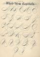 A Burgeoning Artiste Poised to Etch His Presence and Validate His Prowess in the Realms of Penmanship, Thespian Pursuits, and