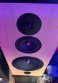 Amiable and Multifaceted. Superb Acoustics Type your text to hear it in the Amiable and Multifaceted. Superb Acoustics .