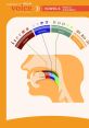 Expert American Male Voice Articulation Type your text to hear it in the Expert American Male Voice Articulation . Expert