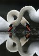 Magnetism, Vivacious, Effervescent, Adorable Type your text to hear it in the Magnetism, Vivacious, Effervescent, Adorable .