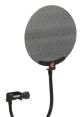 Effortless to Work with and Amenable to Guidance, Whether on Microphone, on Screen, or on Stage Type your text to hear it in
