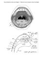 Arabic Tongue (Traditional - Egyptian) - Vocal Narration Type your text to hear it in the Arabic Tongue (Traditional -