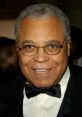 Vince Possesses a Profound, Sonorous Voice Reminiscent of the Commanding Tones of James Earl Jones Type your text to hear it