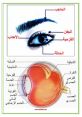 أحياناً تكون الأذن مولعة قبل أن تبصر العين Type your text to hear it in the أحياناً تكون الأذن مولعة قبل أن تبصر العين .