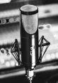 Multifaceted, Seasoned British Voiceover Specialist - Swift, Affable Assistance Type your text to hear it in the