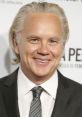 Tim Robbins Timothy Francis Robbins (born October 16, 1958)[2] is an American actor. He is best known for portraying Andy