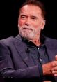 Arnold And Conversations And Movies And Tvs