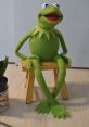 Kermit the Frog (New) Type your text and hear it in the voice of Kermit the Frog (New).