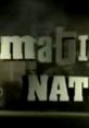 Text featuring the word "NATURE," highlighting themes of wildlife and the environment relevant to Rhynchops Tenciucus.