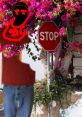 Colorful bougainvillea flowers frame a stop sign, creating a vibrant urban scene with a playful, abstract character.
