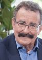 Robert Winston, Baron Winston Robert Maurice Lipson Winston, Baron Winston (born 15 July 1940) is a British professor,