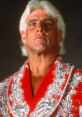 Ric Flair in a striking red robe with intricate silver detailing, showcasing his iconic wrestling persona and charisma.