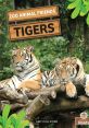 Tigers Library
