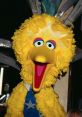 Big Bird Type your text and hear it in the voice of Big Bird .