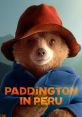 Judy Brown Paddington In Peru