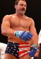 Don Fry UFC Don Fry from UFC.