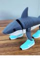 Shark With Shoes Tralale ut tralala porkodil lo pokorlah
