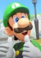 Luigi (Mario Kart World) Luigi