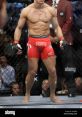 Gsp George