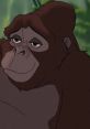 Kala (Glenn Close, Tarzan) Kala is a major character in Disney's 1999 animated feature film Tarzan. She is the adoptive