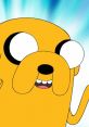 Jake the dog
