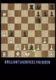 Decisive Queen Type your text and hear it in the voice of Decisive Queen .