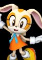 Cream The Rabbit (Sarah Wulfeck)