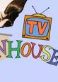 Snl Tv Funhouse