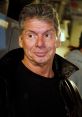 Vince McMahon Type your text and hear it in the voice of Vince McMahon.