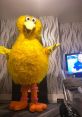 Big Bird V2.0 Type your text and hear it in the voice of Big Bird V2.0 .