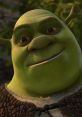 Shrek (Mike Myers, Shrek) Shrek is the titular protagonist of the DreamWorks Animation franchise of the same name. He is a