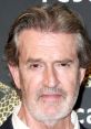 Rupert Everett Rupert James Hector Everett (/ˈɛvərɪt/; born 29 May 1959[1]) is an English actor. He first came to public