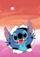 Stitchgfdgfd