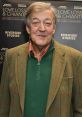 Stephen Fry V2 Type your text and hear it in the voice of Stephen Fry V2 .