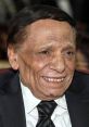 Adel Emam V2 Type your text and hear it in the voice of Adel Emam V2 .