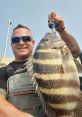 Fish on