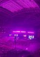 Blink Crowd