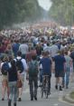 All Crowd