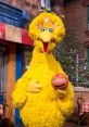 Big Pajaro Big Bird aka big pajama from barrio sesamo