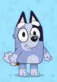 Socks Blue Healer I'm socks from bluey!