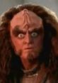 Gowron from Star Trek with intense expression, showcasing his iconic Klingon features and warrior demeanor.