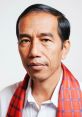 Joko Widodo Type your text and hear it in the voice of Joko Widodo .