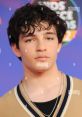 Bryce Gheisar Bryce Gheisar (born December 22, 2004) is an American actor, best known for his leading roles as young Ethan