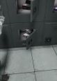 Cassie Scp Sl Attempted of Cassie from SCP SL.