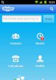 Skype Call