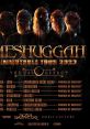 Meshuggah Meshuggah Generator
