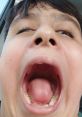 Child passionately yelling in a car, showcasing excitement and loudness with mouth wide open. Perfect for loud moments.