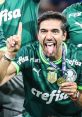 Ferreira Ferreira Capitão Caverna